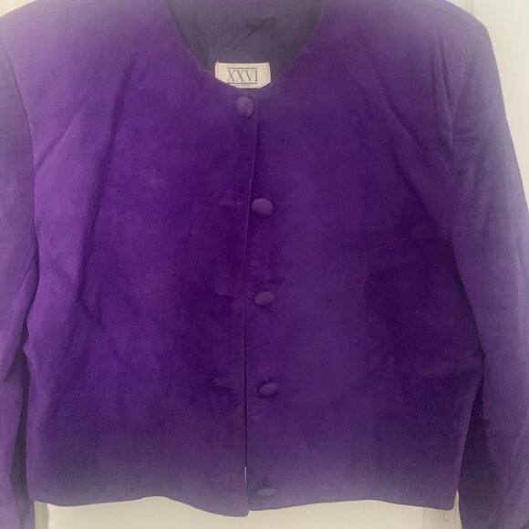 Suede Suit - Picture 2 of 6